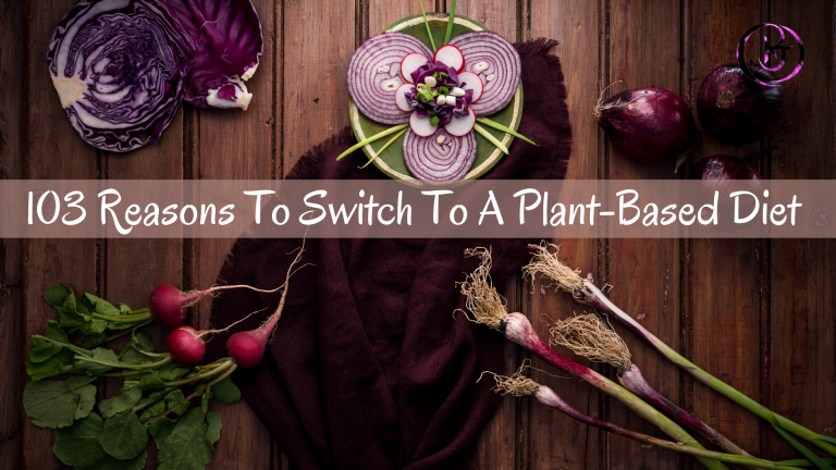 103 Reasons To Switch To A Plant-Based Diet